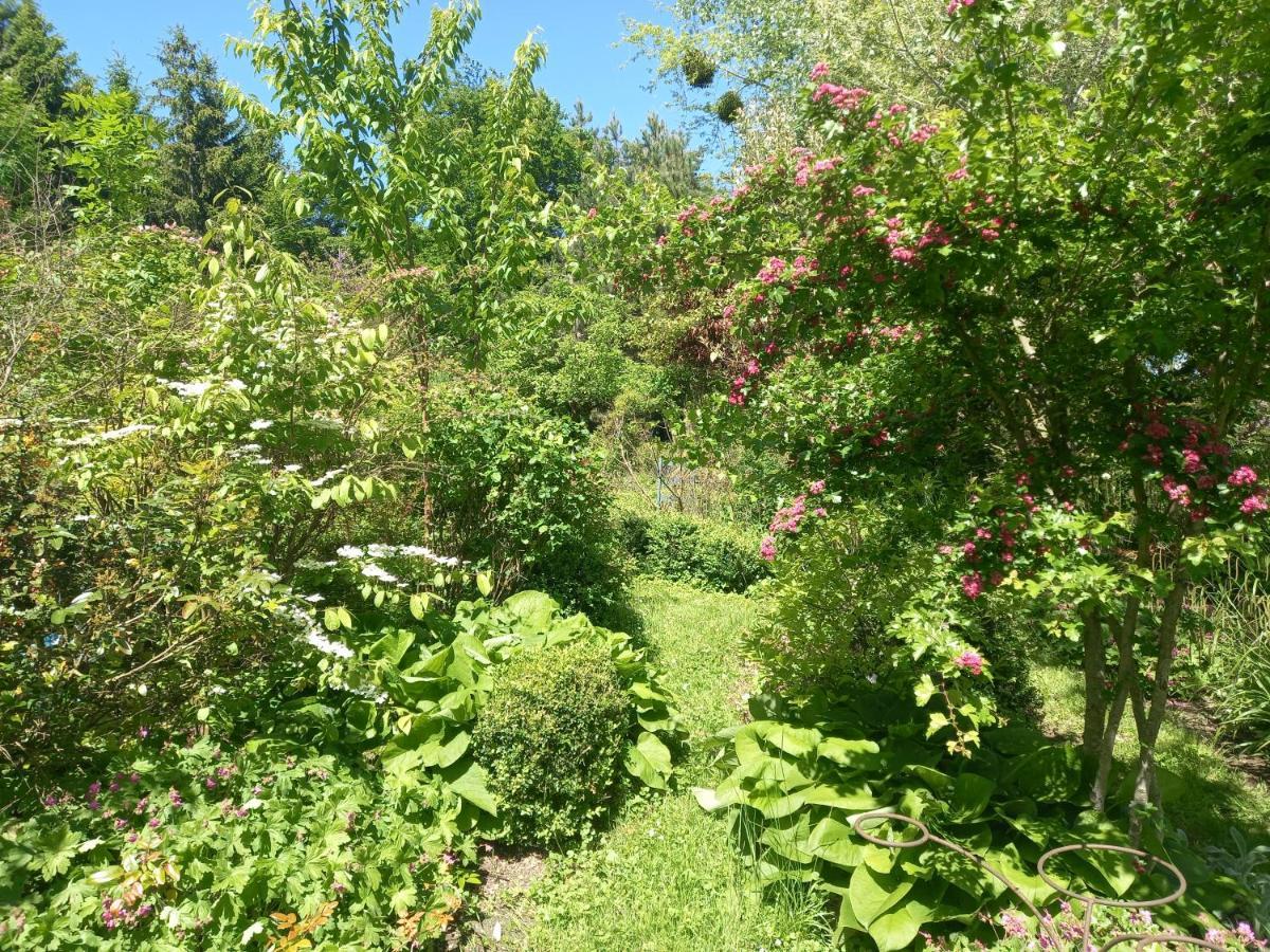 La Haie A Cerf Watronville Dış mekan fotoğraf