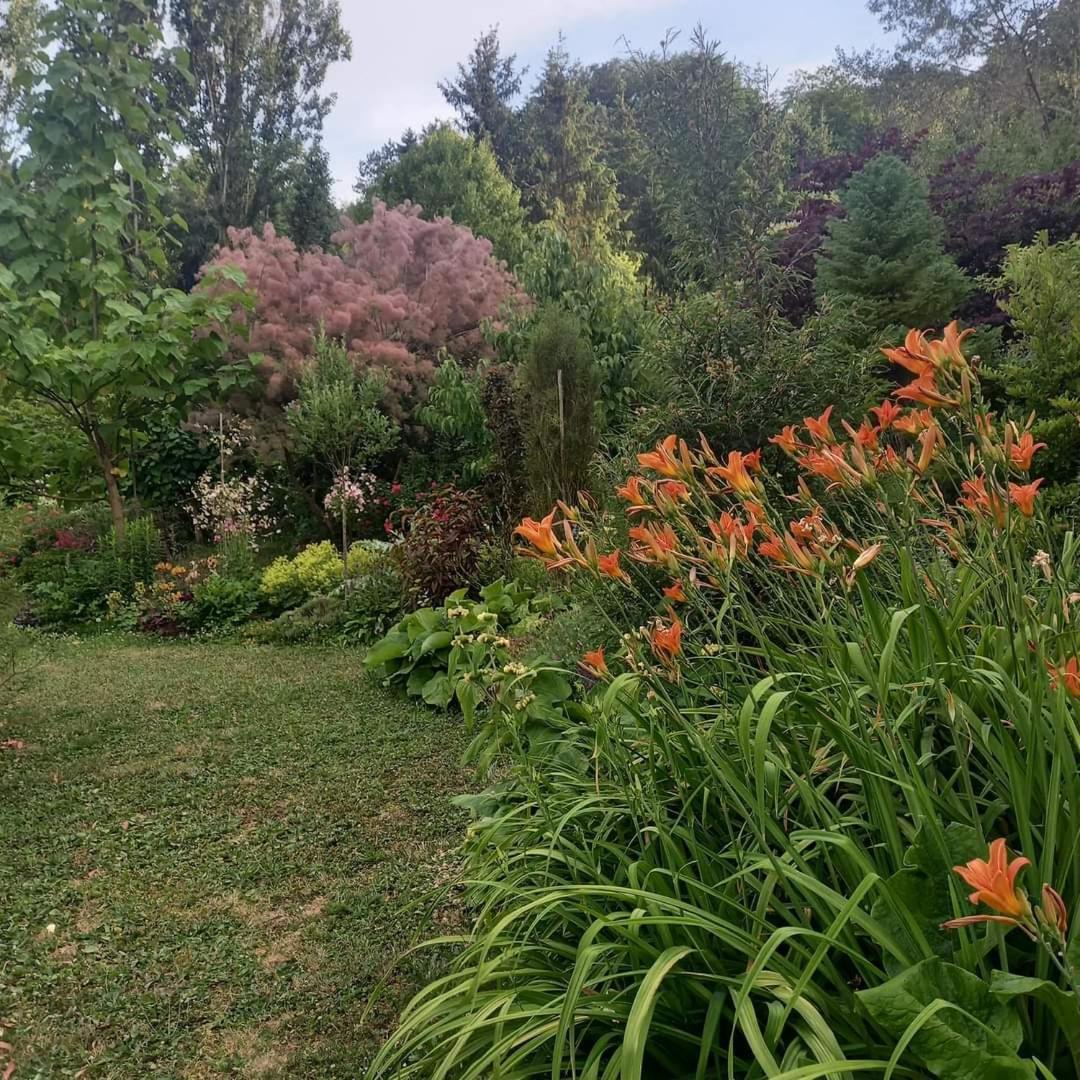 La Haie A Cerf Watronville Dış mekan fotoğraf