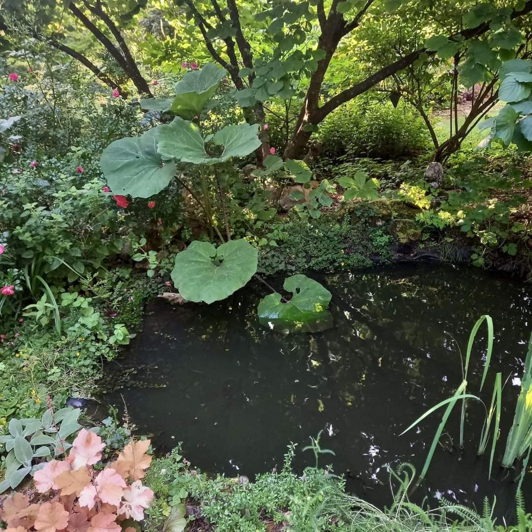 La Haie A Cerf Watronville Dış mekan fotoğraf