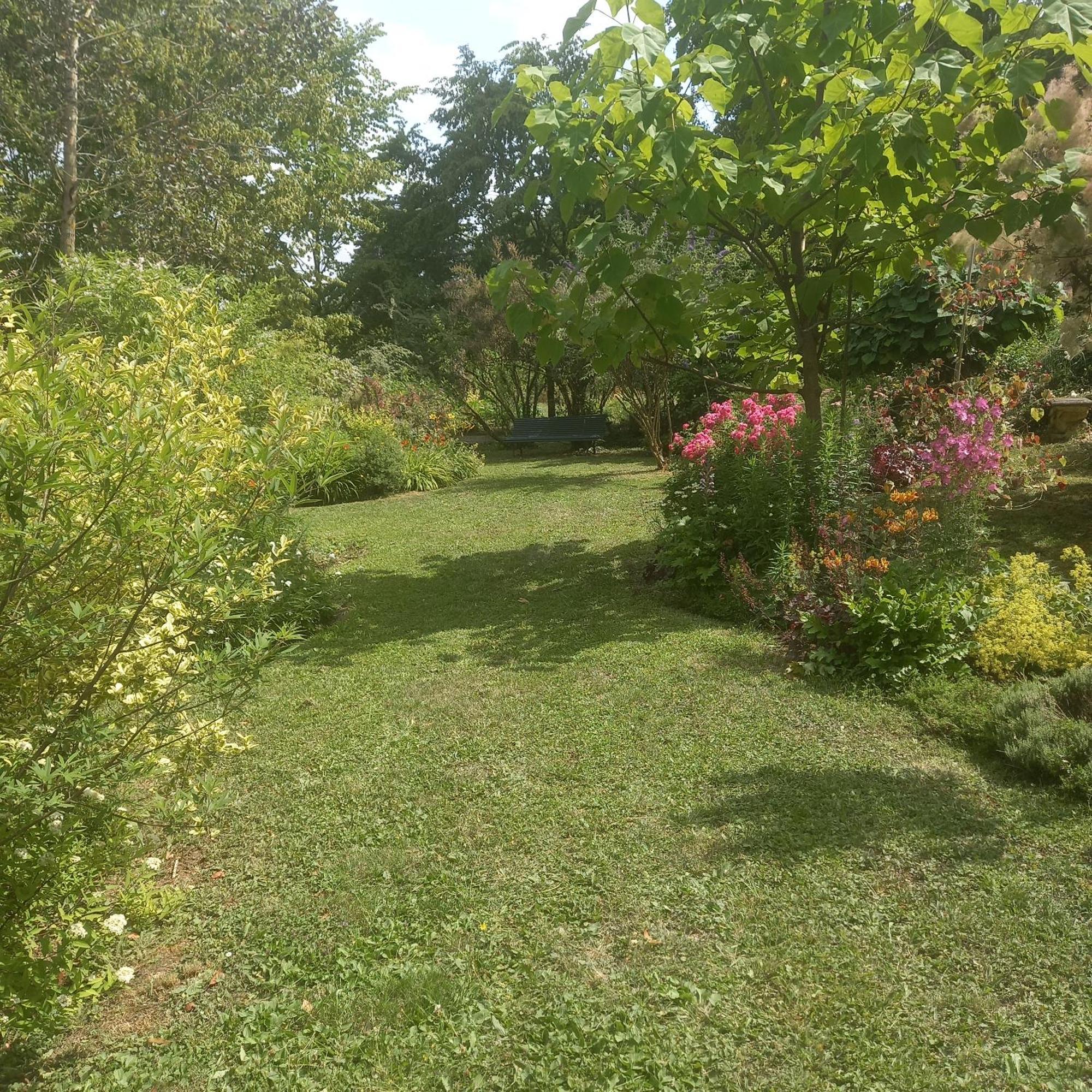 La Haie A Cerf Watronville Oda fotoğraf