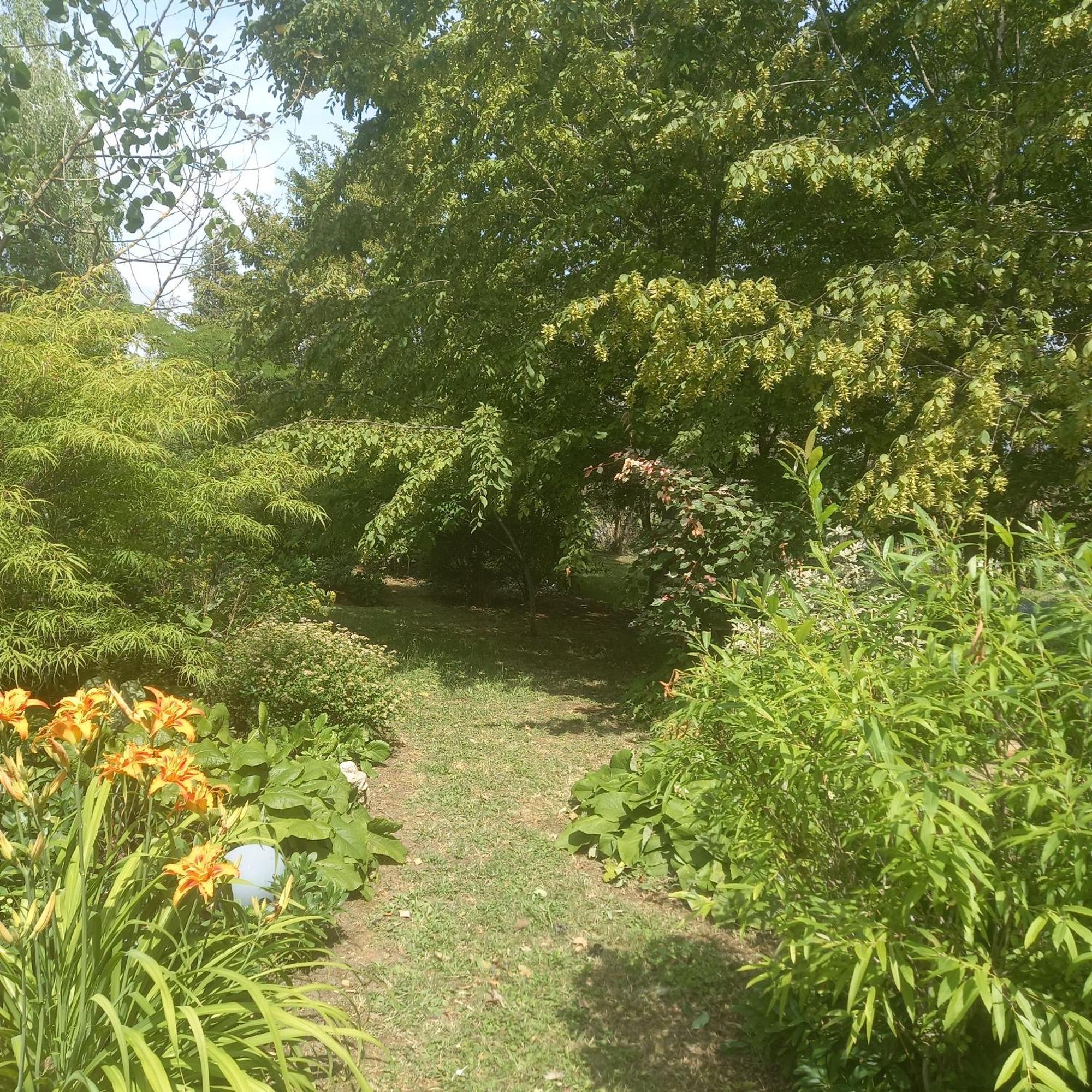 La Haie A Cerf Watronville Oda fotoğraf