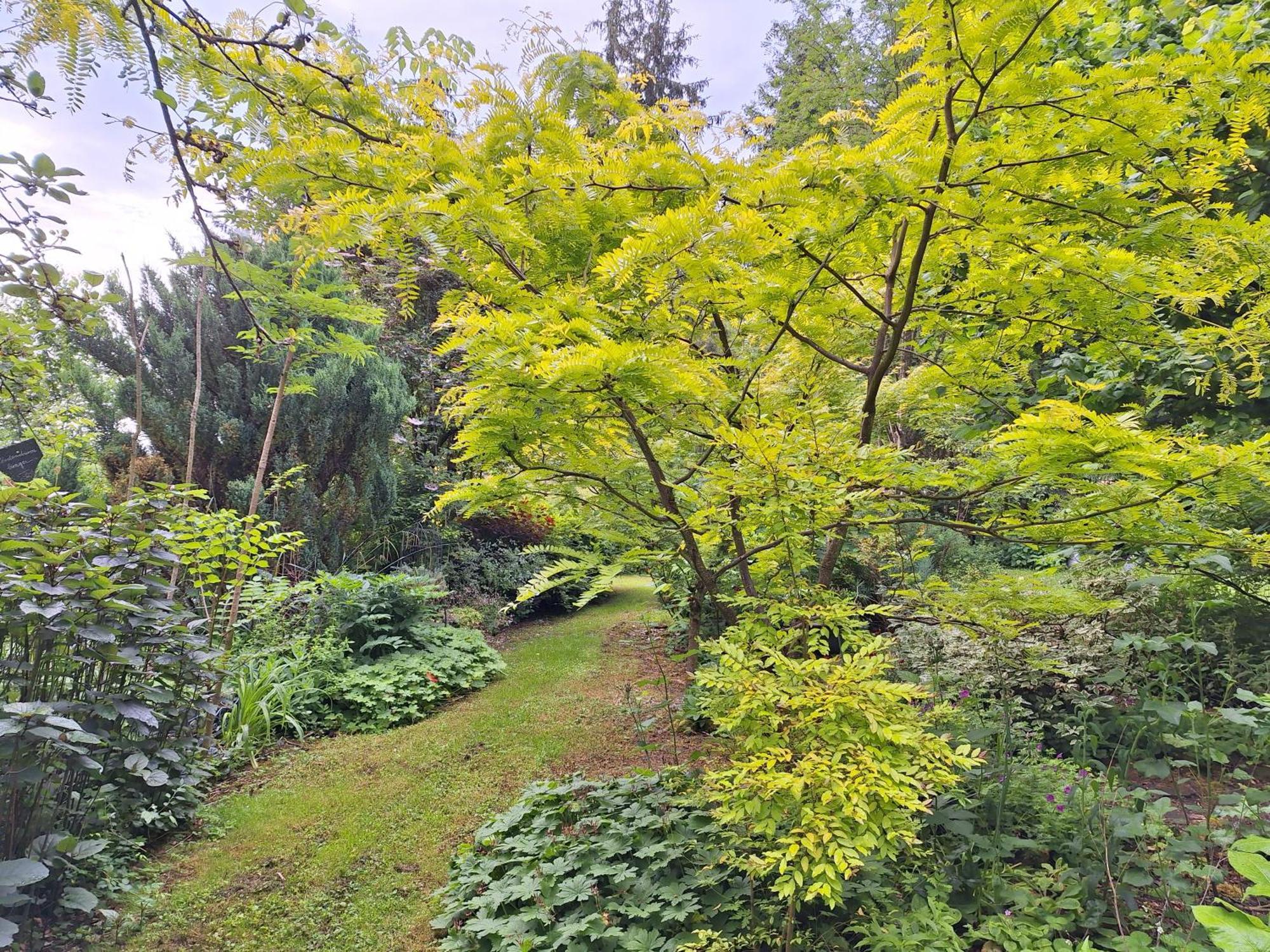 La Haie A Cerf Watronville Oda fotoğraf