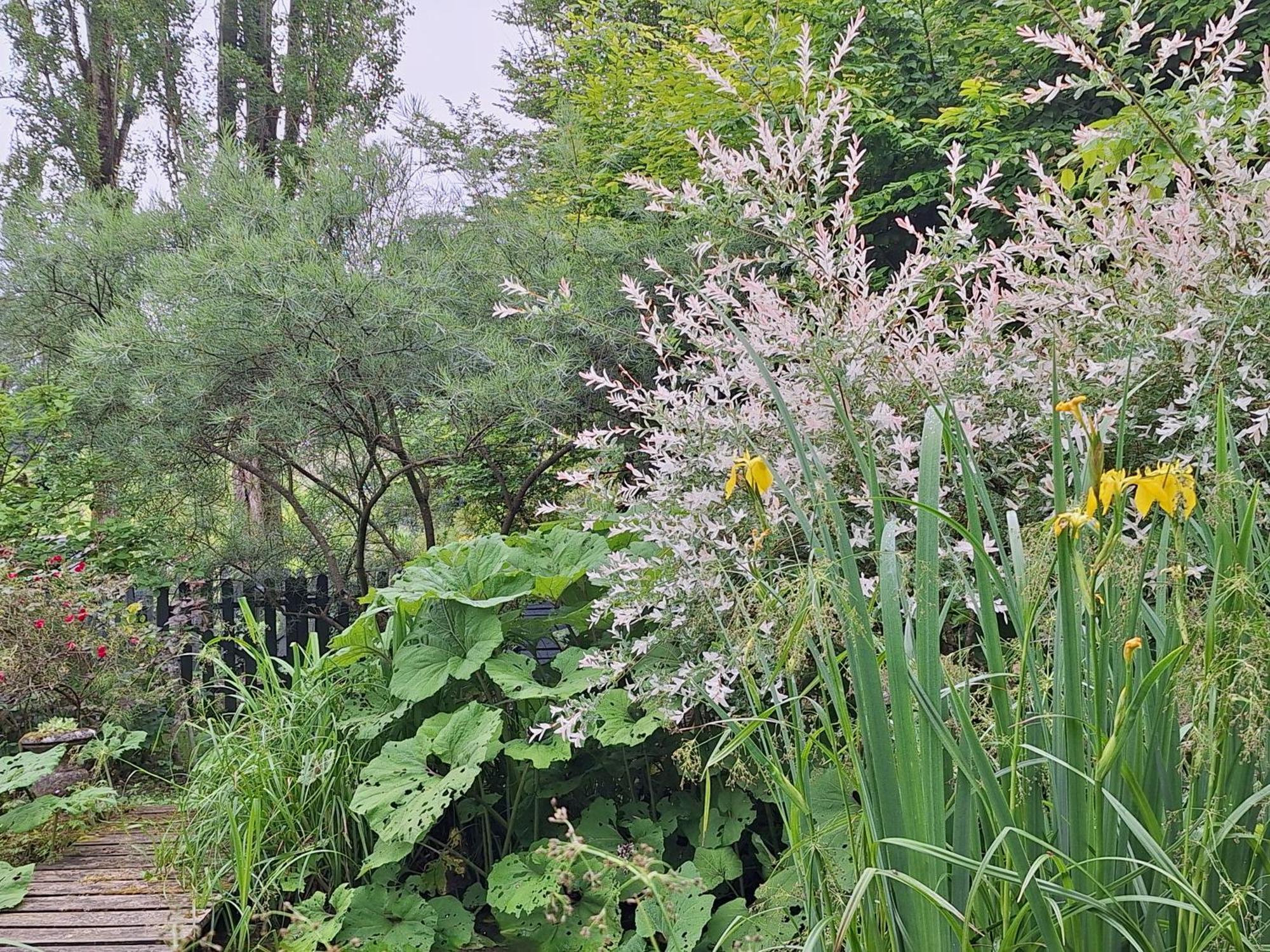 La Haie A Cerf Watronville Oda fotoğraf