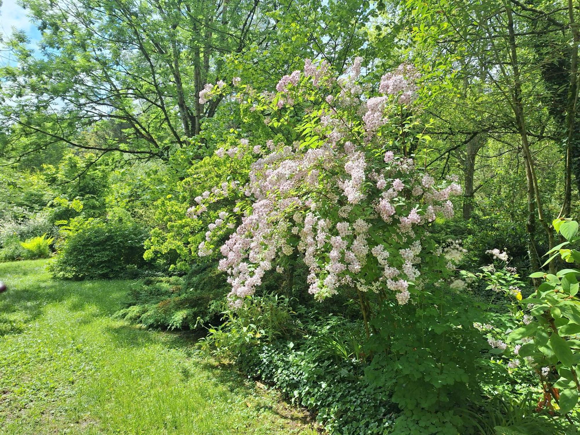 La Haie A Cerf Watronville Oda fotoğraf