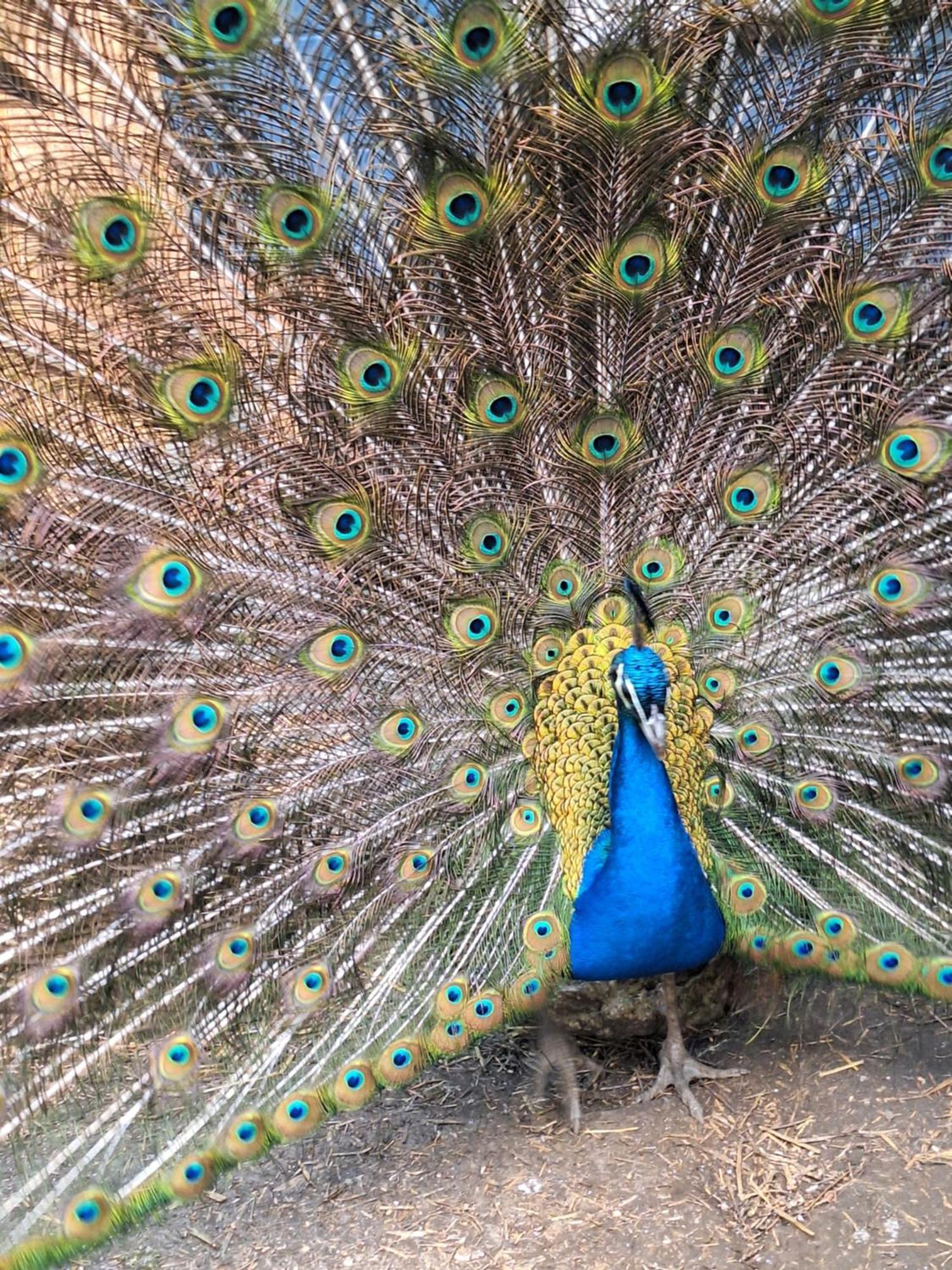 La Haie A Cerf Watronville Dış mekan fotoğraf